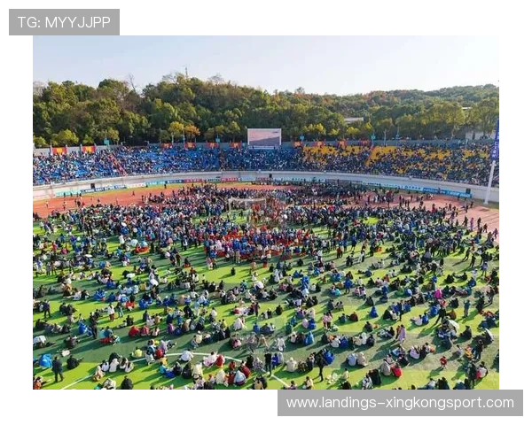 球迷文化研究项目发布深入分析地域性狂热现象，球迷聚集地